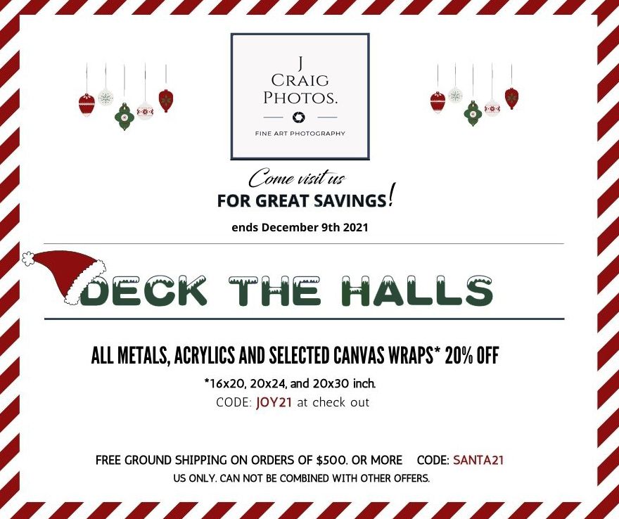 December sales, savings