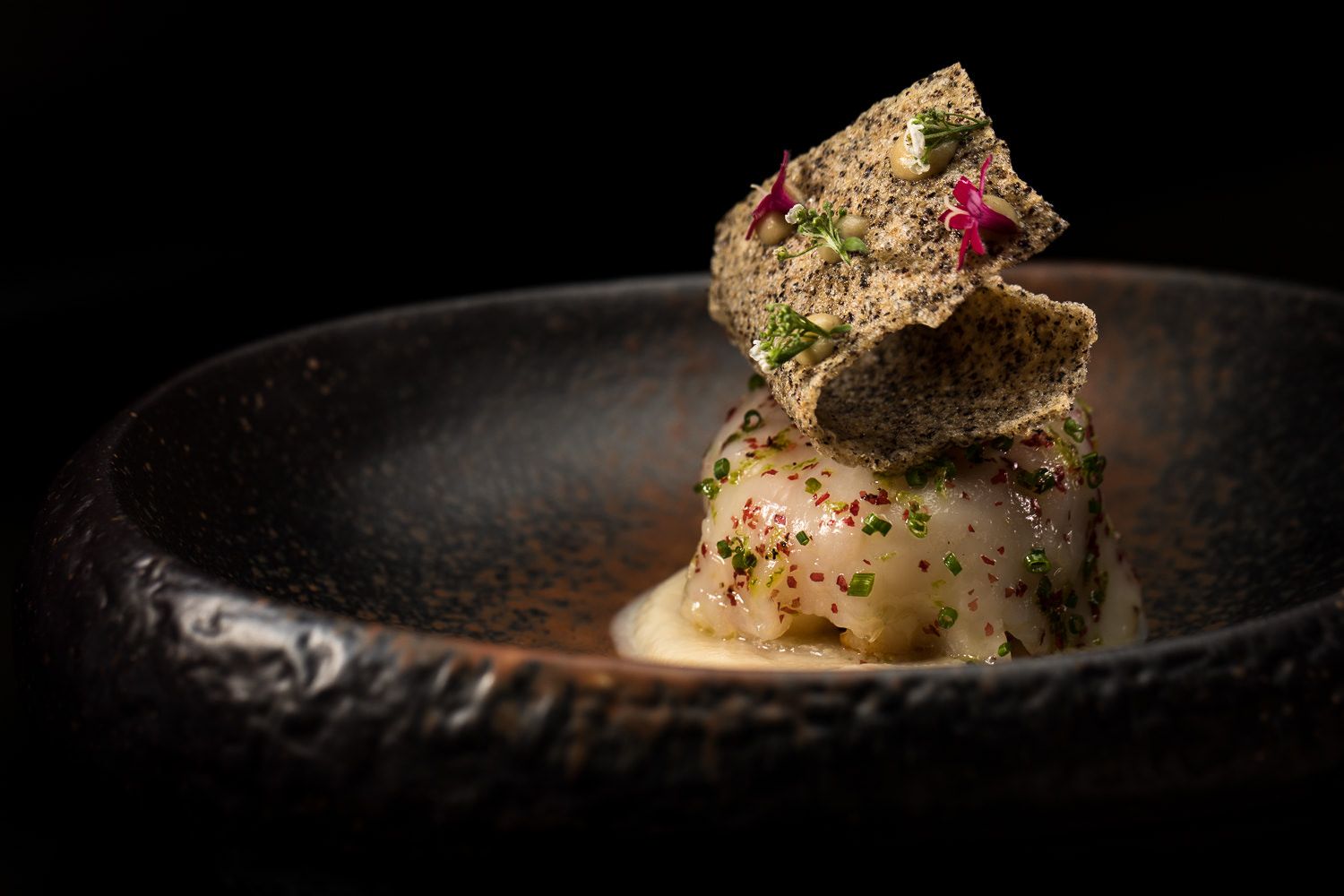 Dish 360 Dubrovnik