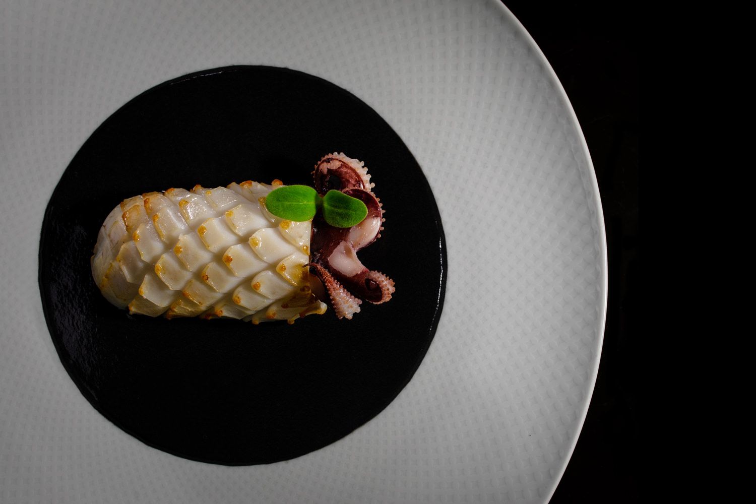 Dish 360 Dubrovnik