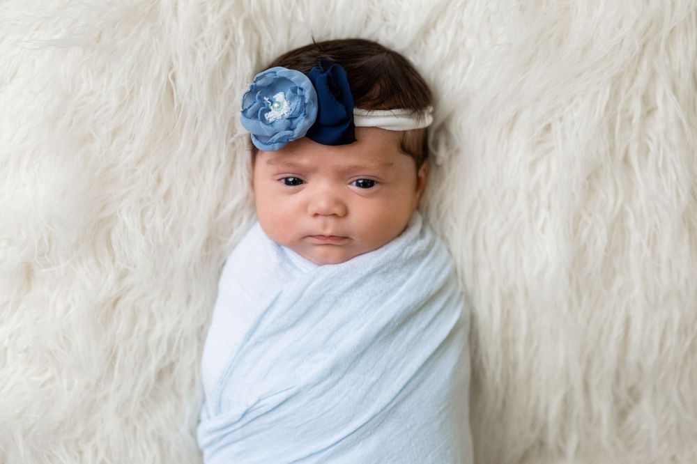 newborn photographer, philadelphia pa, bucks county newborn photographer, Magnolia Valley Photography