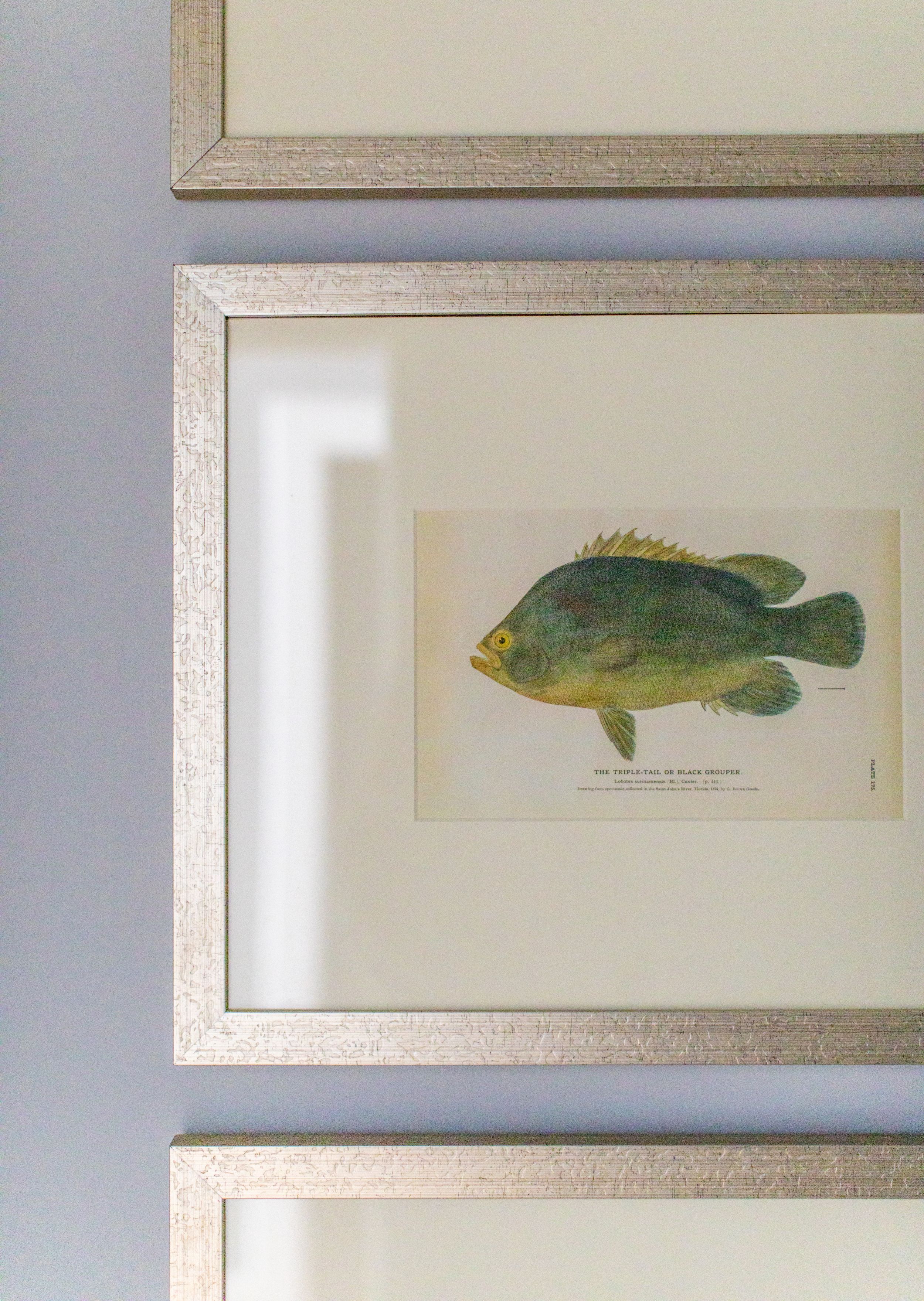 Traditional, coastal wall art
