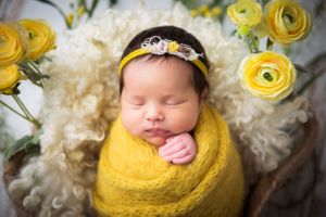 sugar land newborn photographer