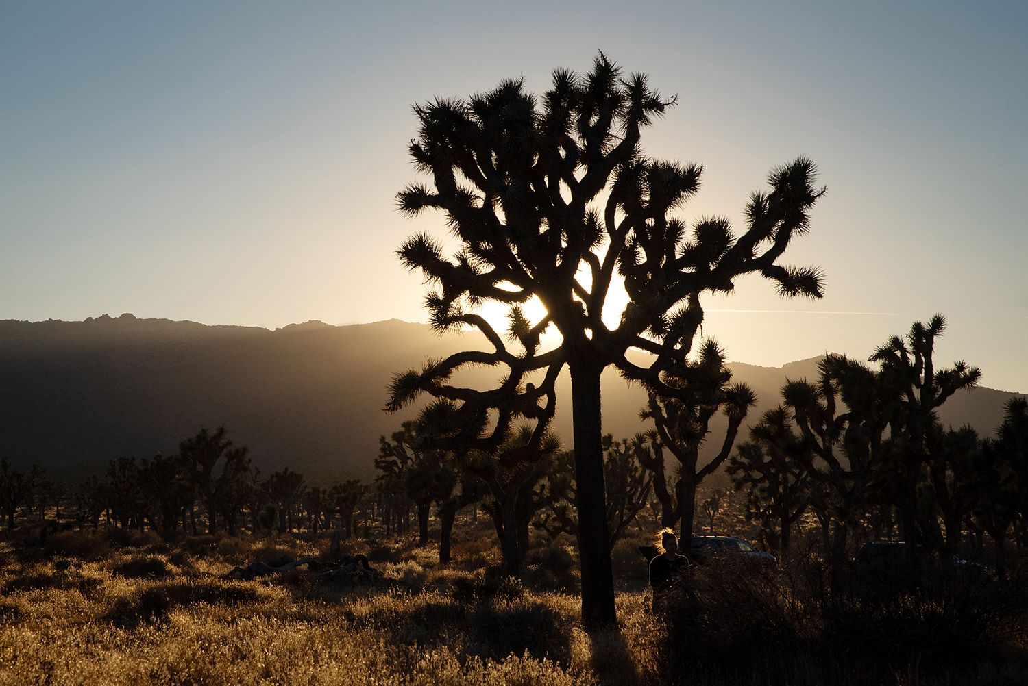 Nature photography