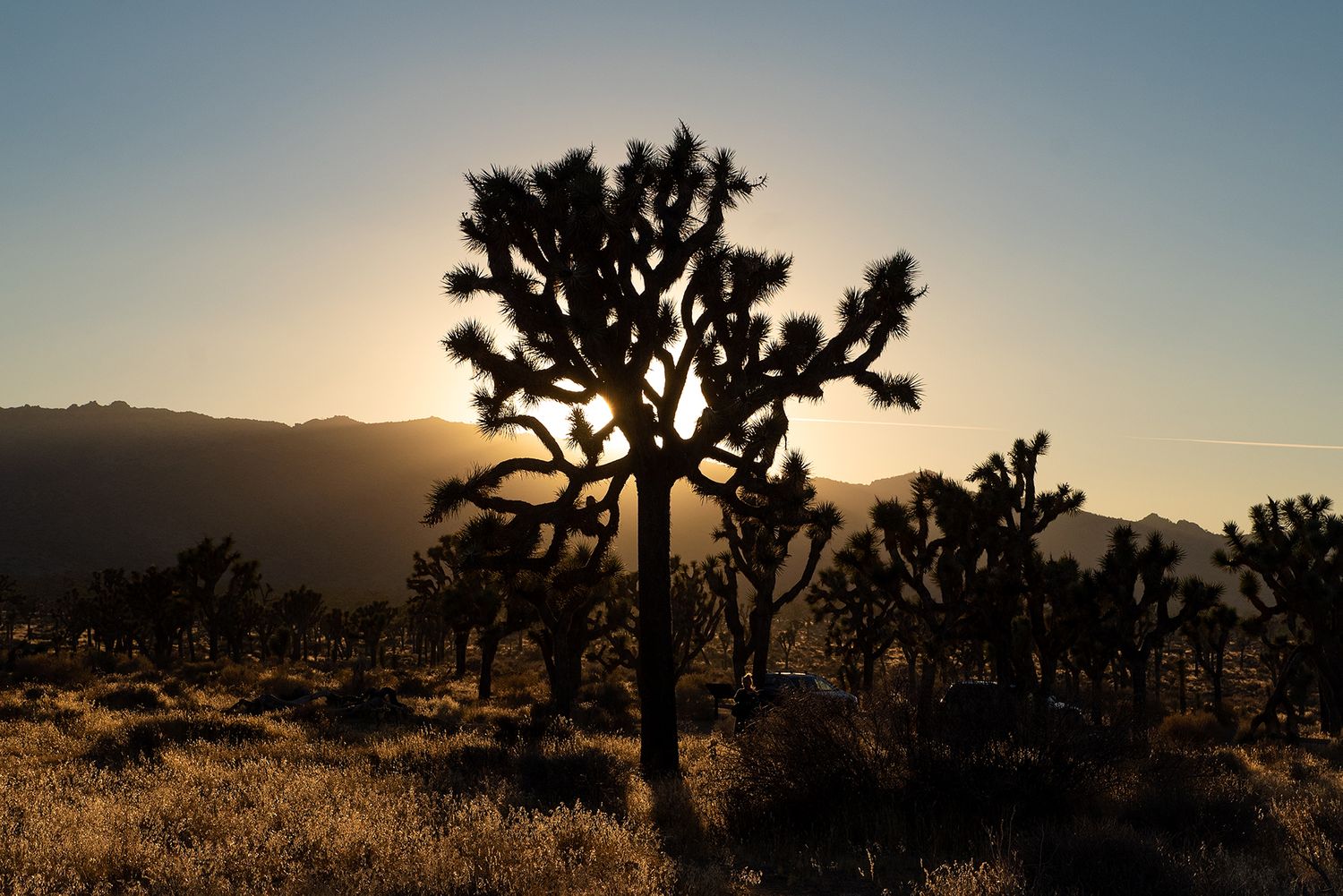 Nature photography