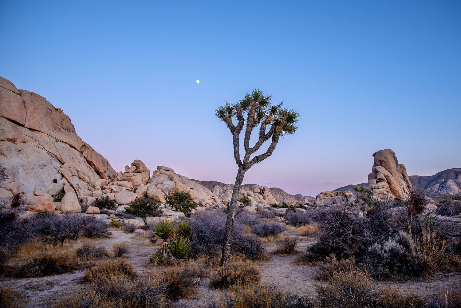 Nature photography