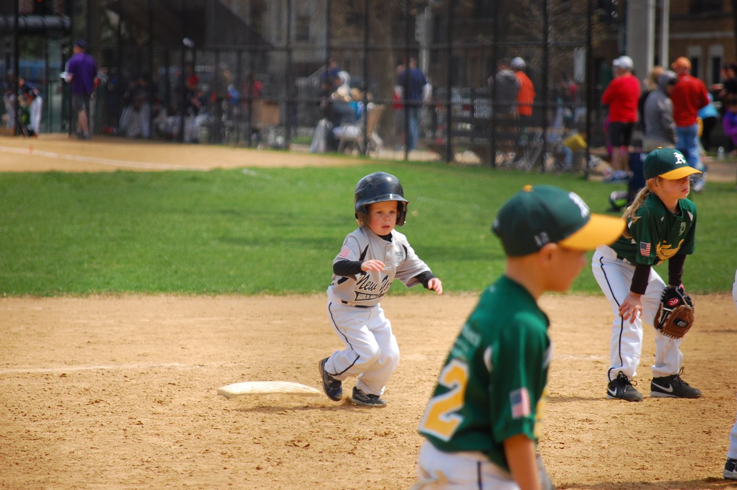 Youth sports photographer for baseball in Park Ridge