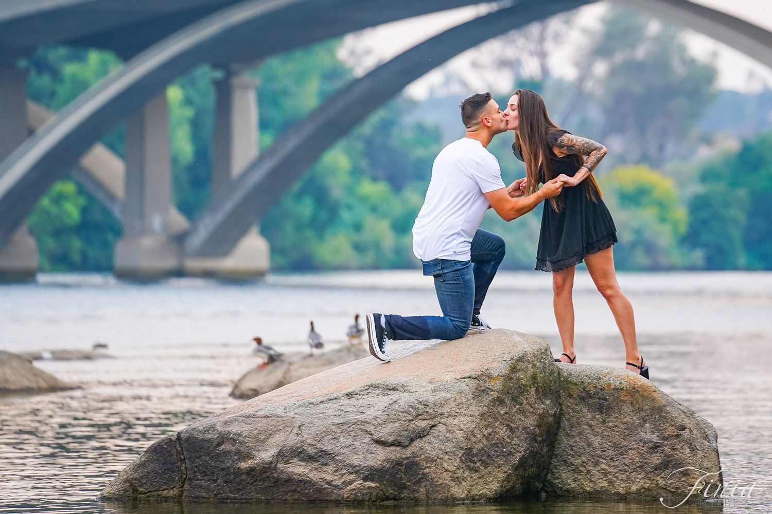 A romantic proposal scene on a rocky beach with an arched bridge in the background and ducks watching nearby.