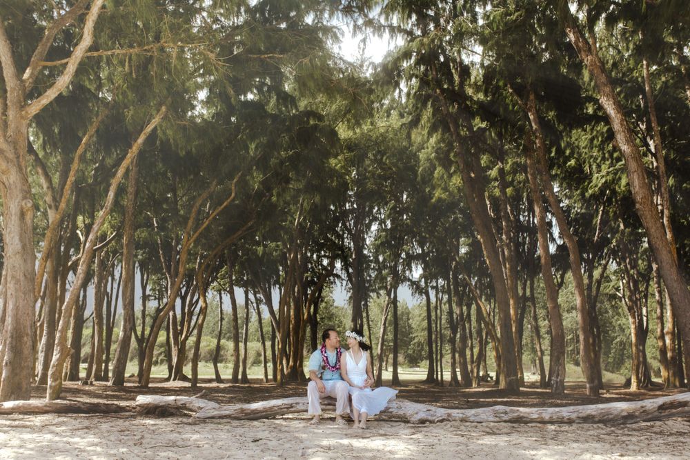 Hawaii destination beach elopement Michigan photographer