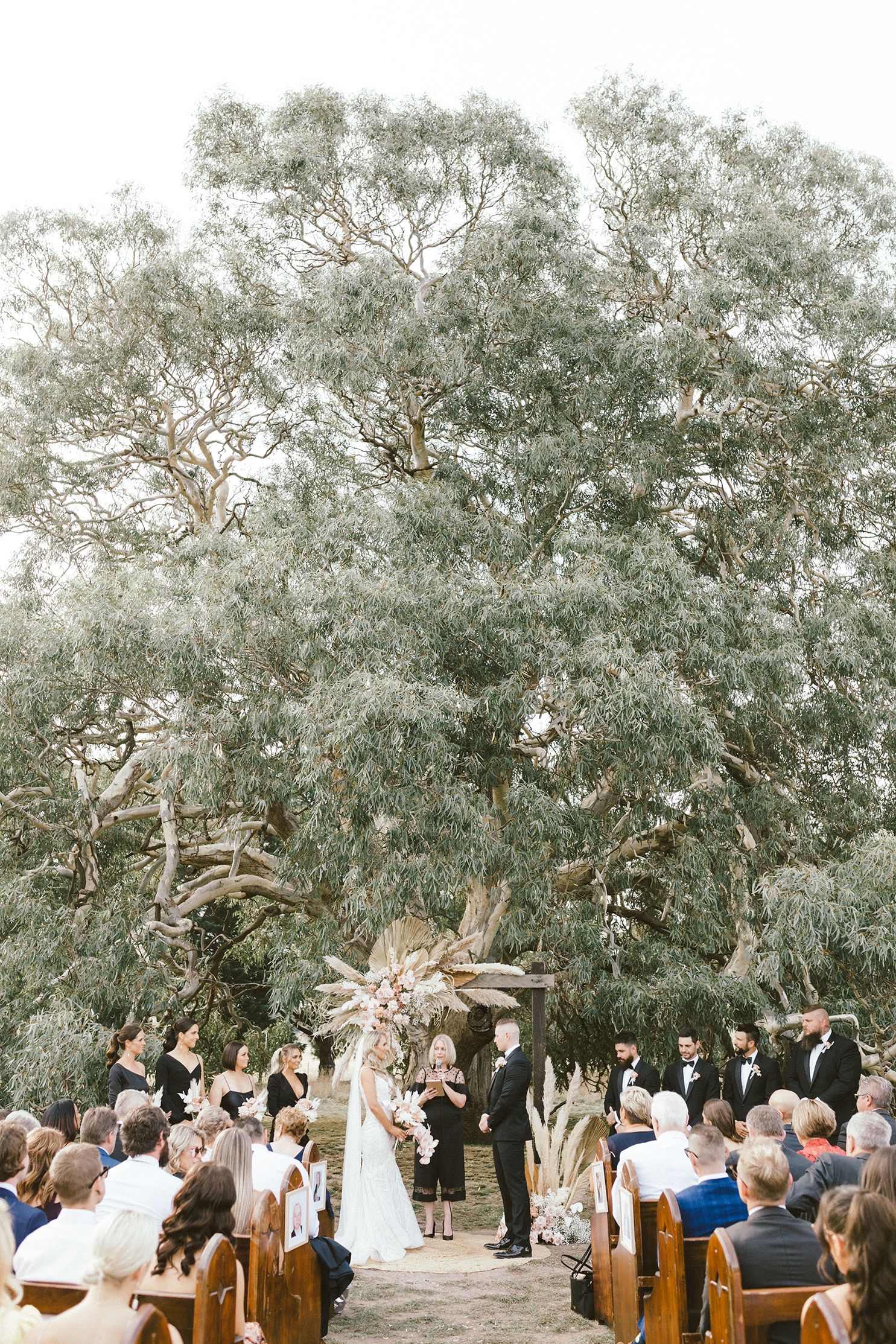 Wide shot of outdoor wedding ceremony under towering eucalyptus trees with wooden chairs and floral arch.