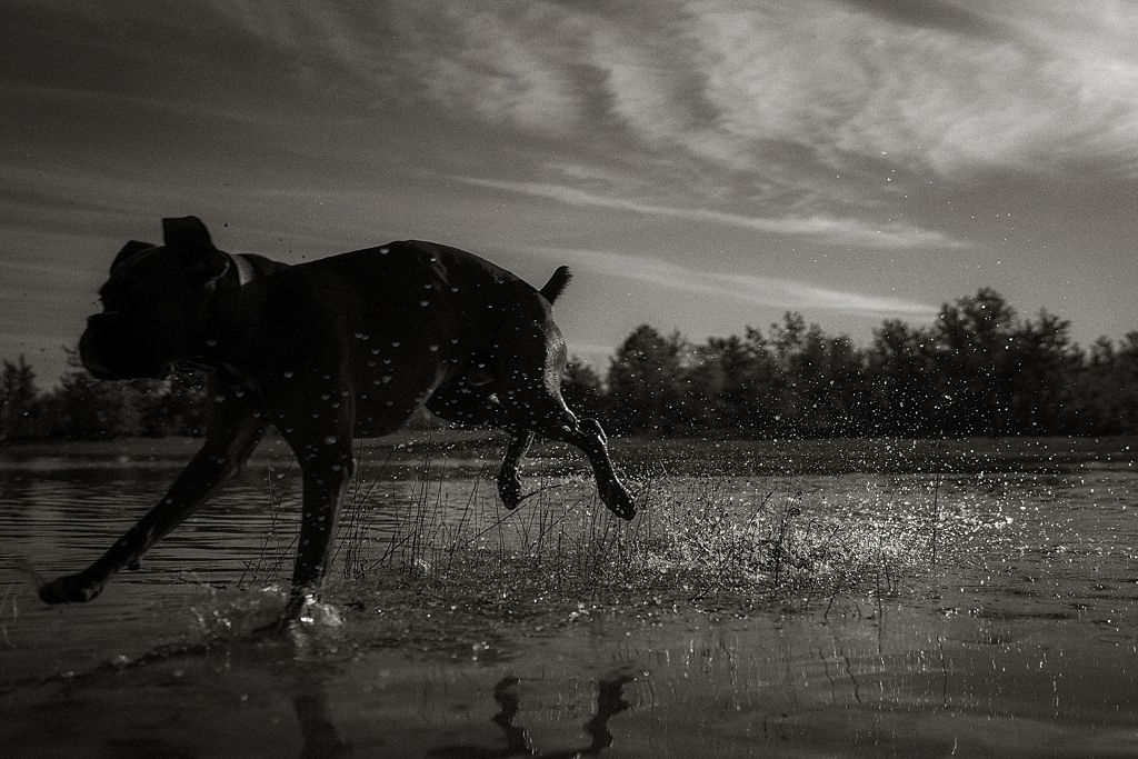 Silhouettes in dramatic black and white against a bright horizon over water.