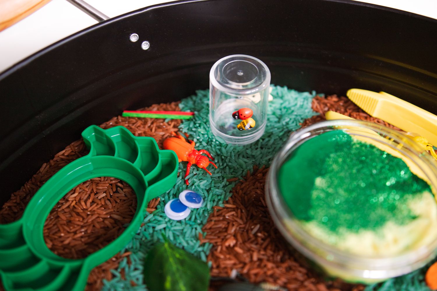 insects sensory play kit in sydney and western sydney