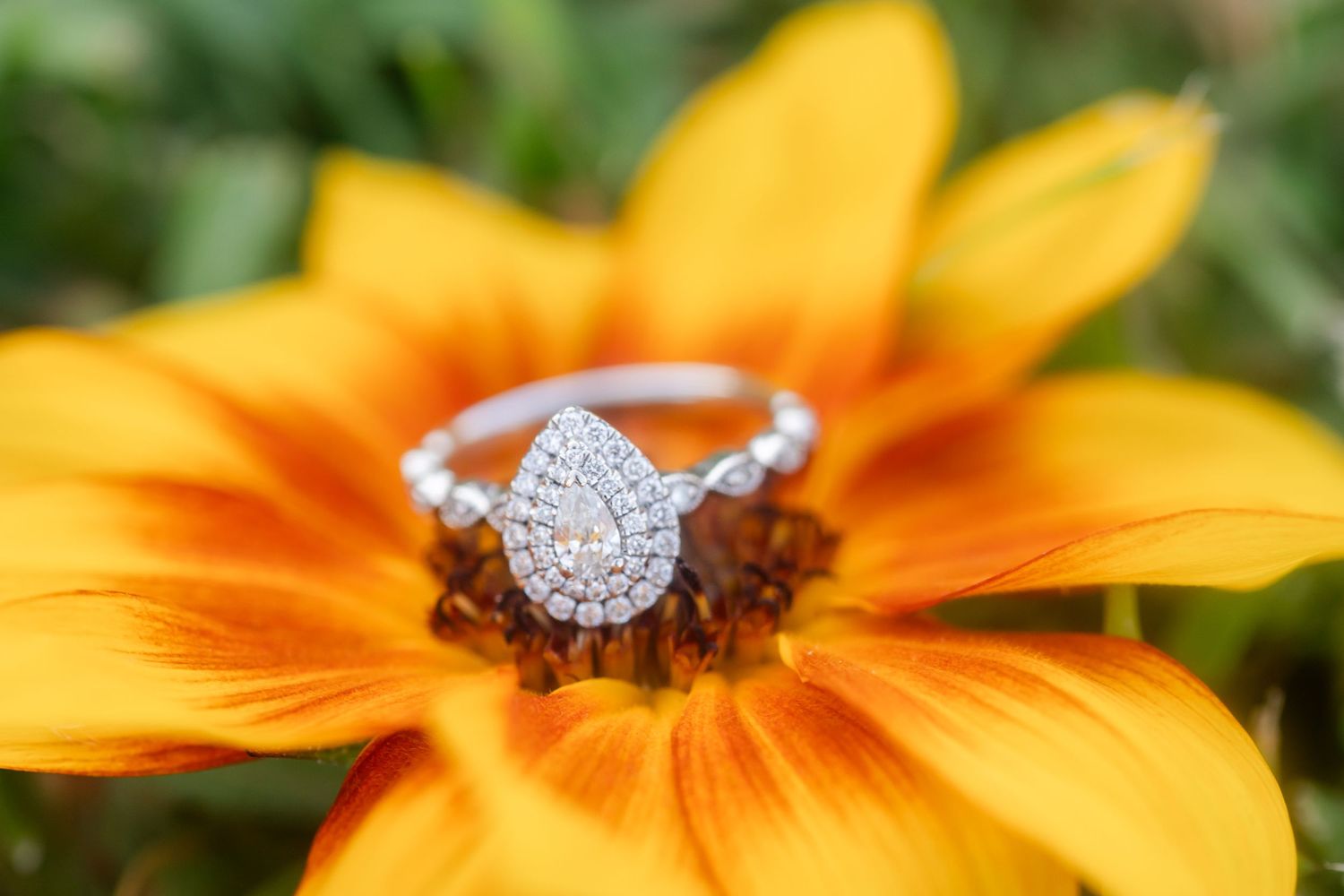 Close-up of bright orange flower petals with diamond ring.