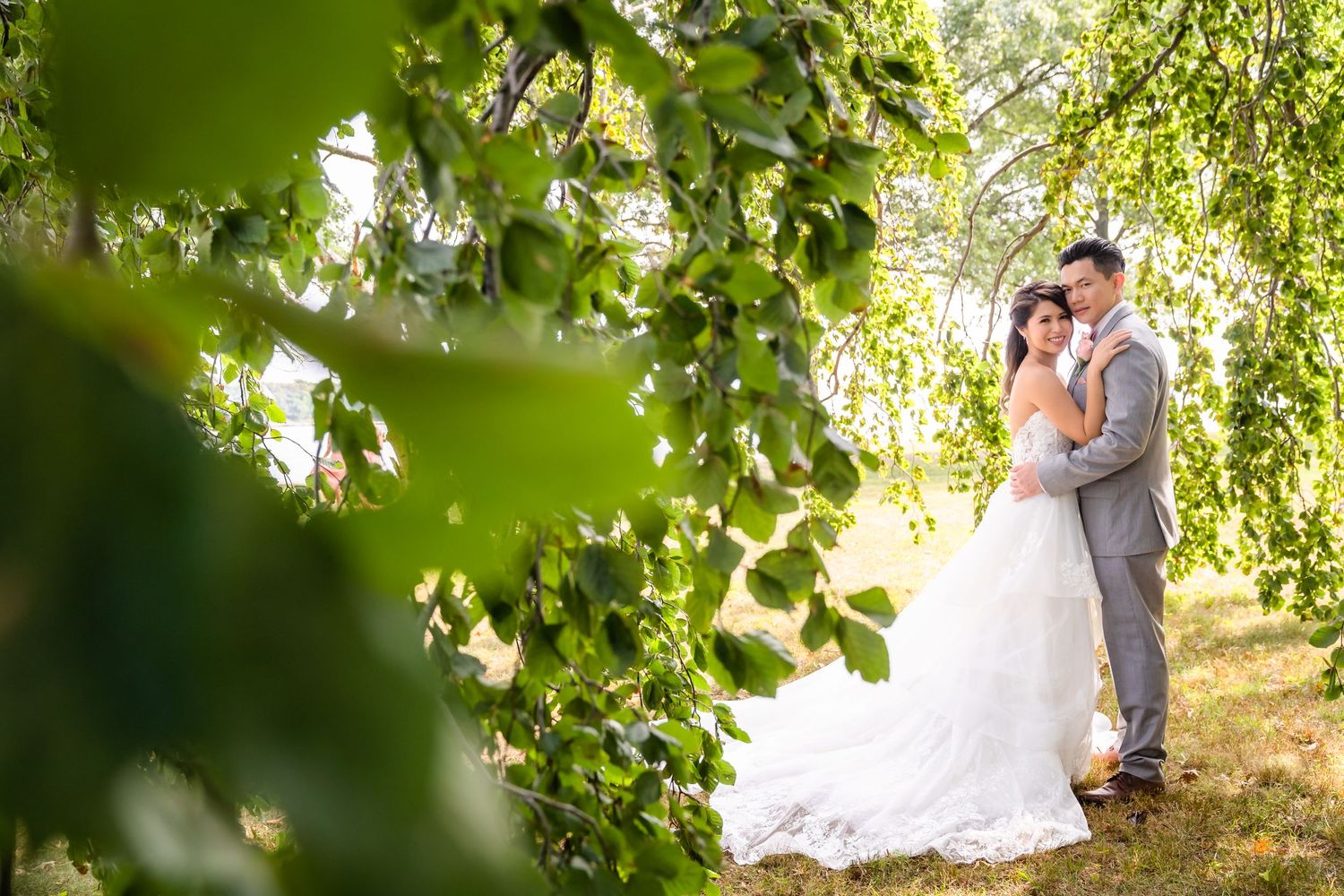 Romantic wedding couple embracing under green leaves in summer sunlight.
