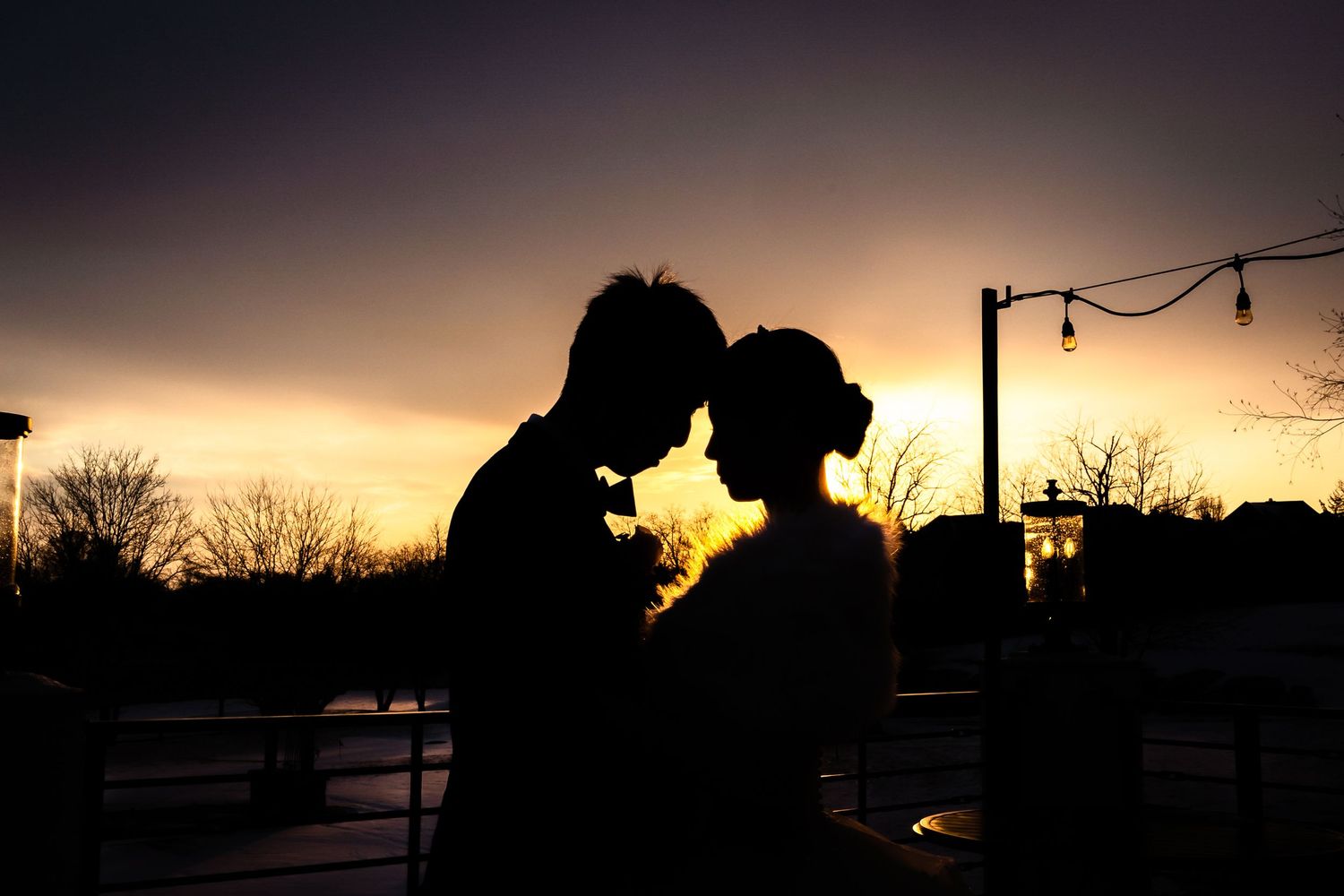 Silhouette of couple in intimate moment against sunset sky.