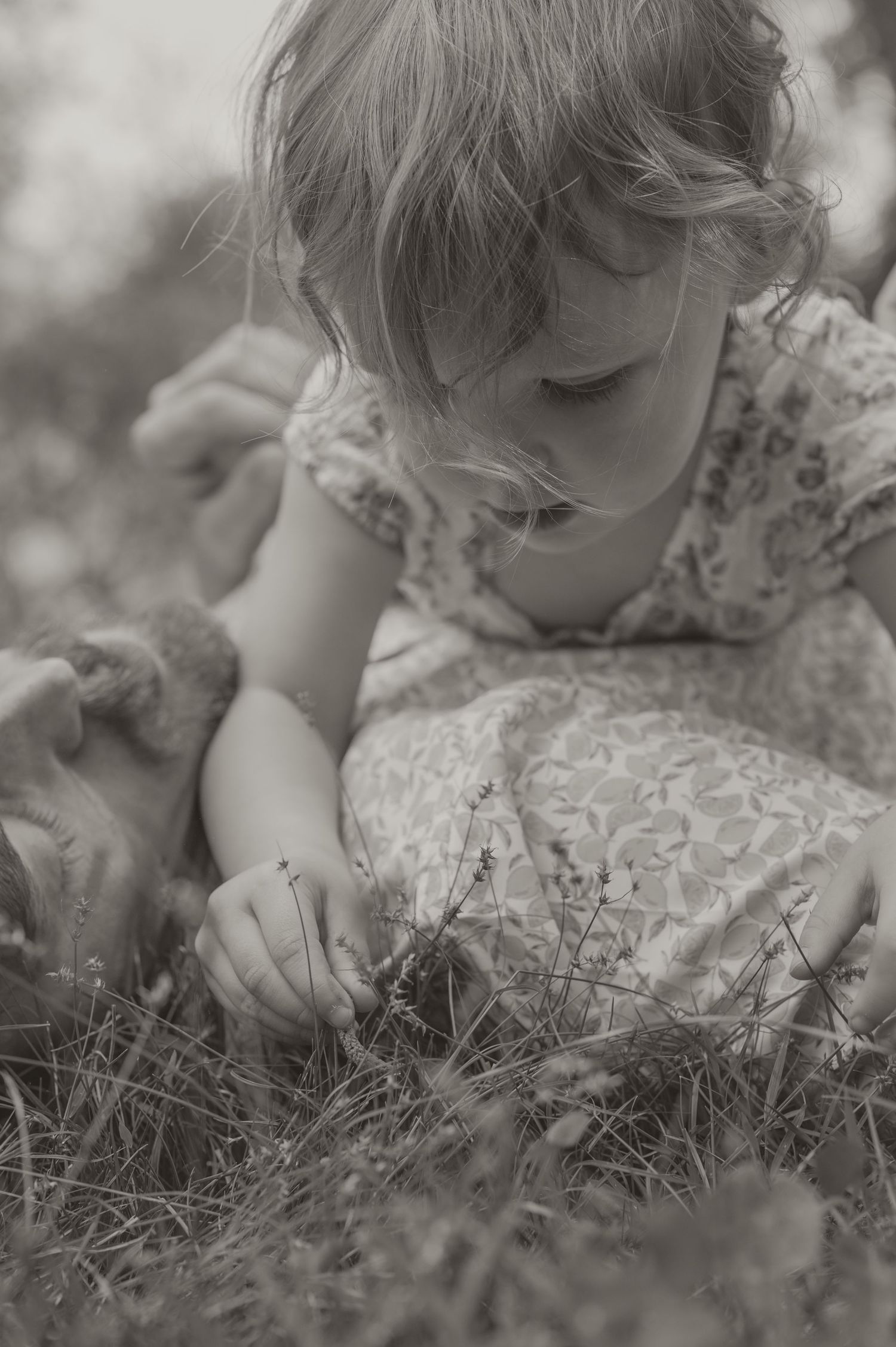 A child in a floral dress lies in tall grass and wildflowers on a sunny day, captured in black and white.