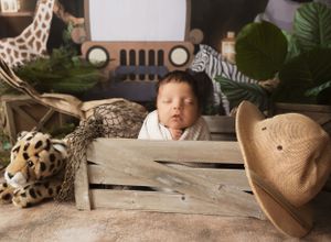 Brand new king of the jungle, newborn king, newborn photographer, york pa newborn photographer
