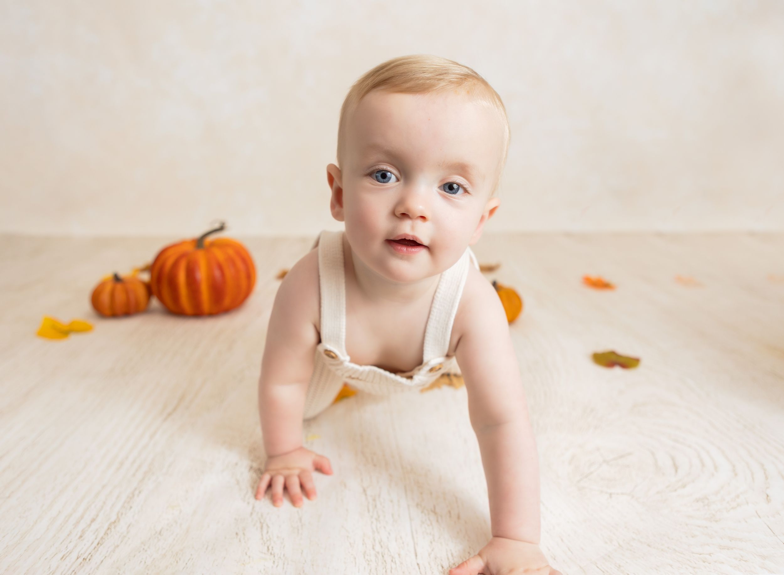 milestone photos, york pa portrait photographer