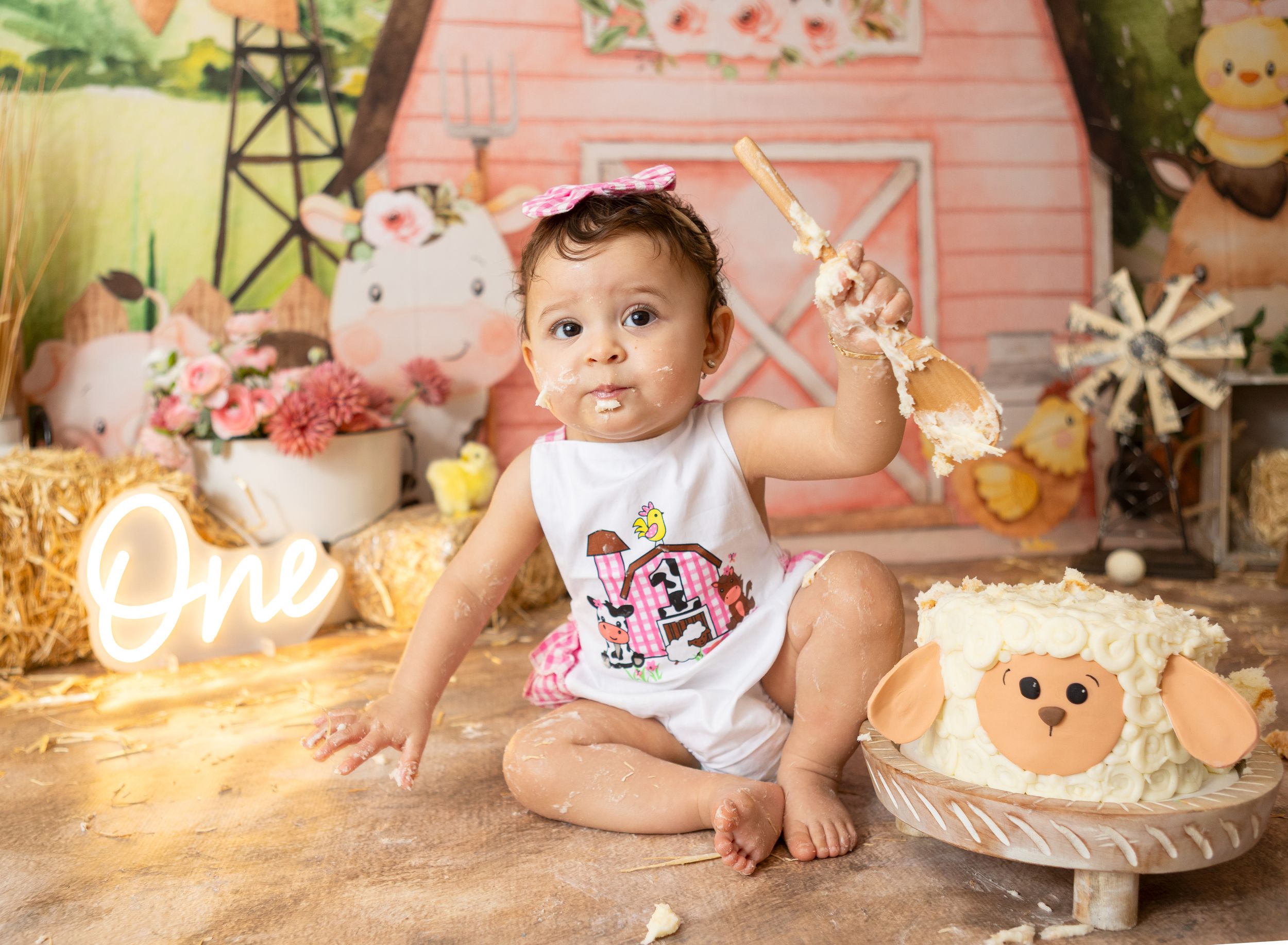 cake smash photographer, york pa photographer, custom cake smash sessions