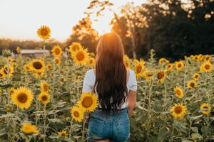 Woman with long dark hair standing in sunflower field during golden hour sunset.