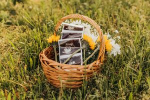 Ultrasound photos arranged in wicker basket with flowers on grass during golden hour.