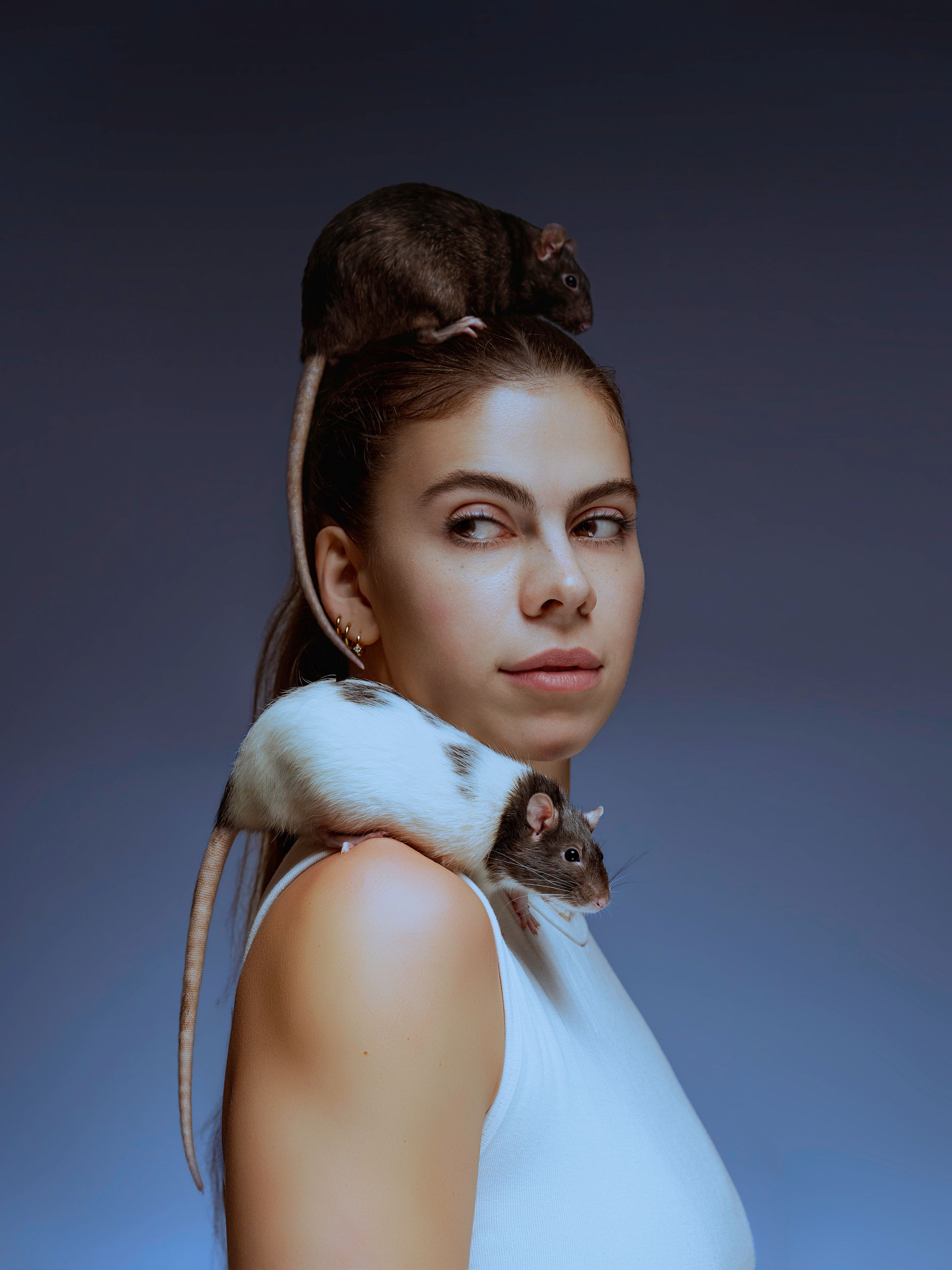Young woman in white dress poses with pet rats on her shoulder and head against blue background.