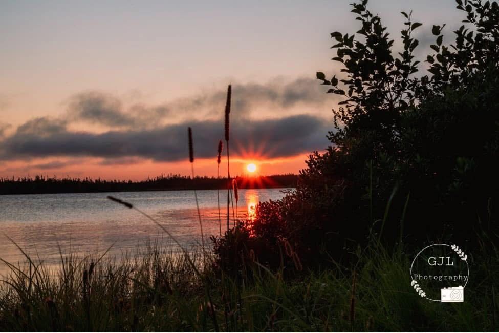 Stunning sunset over a calm lake with silhouetted cattails and trees reflecting warm orange hues on the water.
