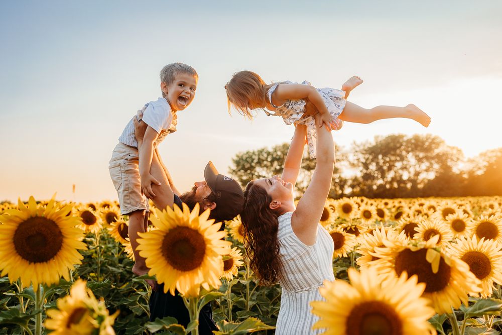 Image taken in the sunflowers, mom and dad holding the kids up while they are laughing and smiling.