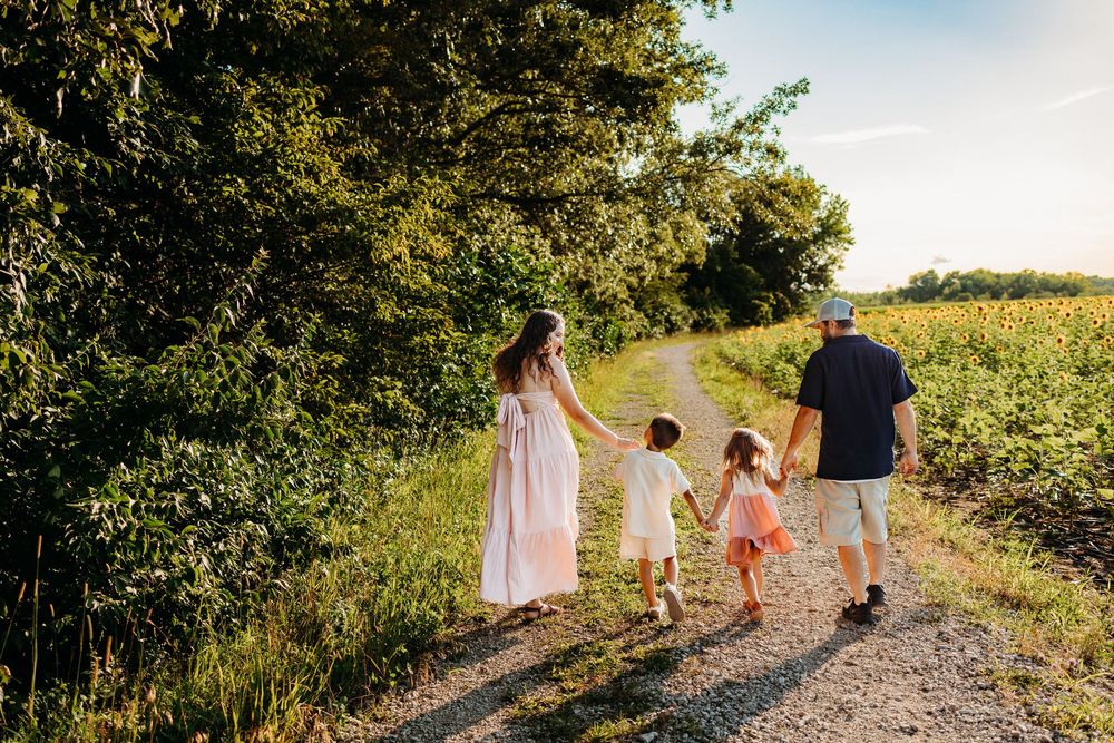 A family of 4 walking on a gravel path through a field of sunflowers.