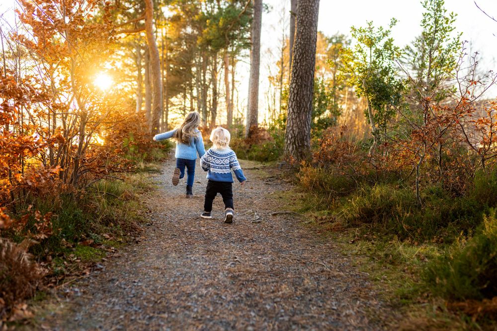 Playful running scene on forest trail during sunset.