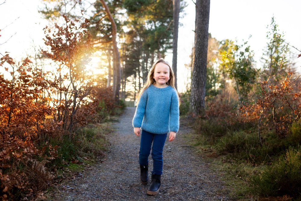 Person in blue sweater walks along autumn forest path during golden hour.