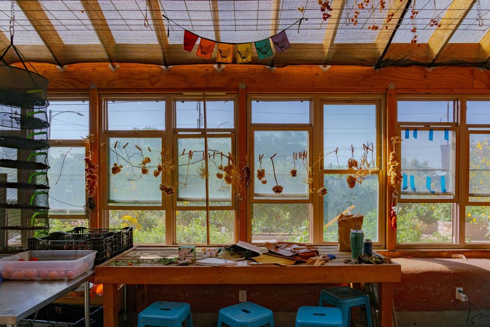 Cozy sunlit classroom with wooden frames, colorful bunting, teal stools, and autumn decorations on large windows overlooking greenery.