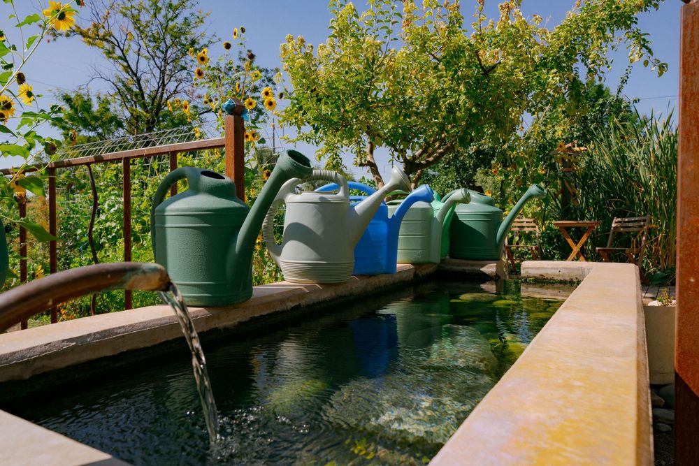 Colorful watering cans lined up on a garden water feature with sunflowers in the background.