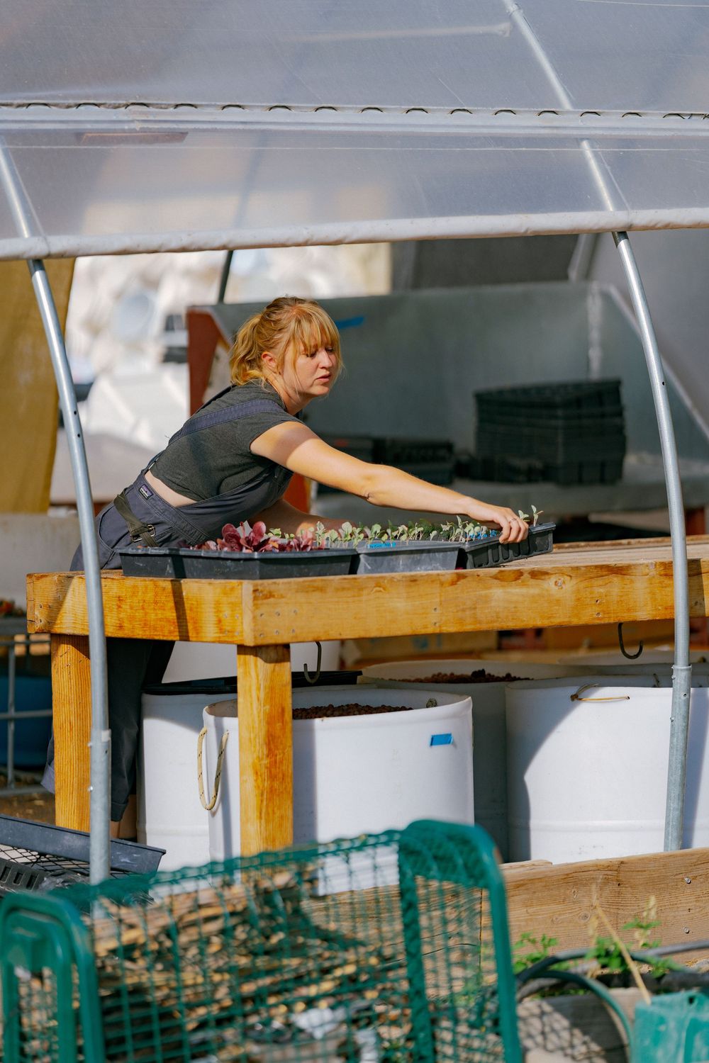 Woman tending to seedling trays on a wooden workbench inside a greenhouse nursery.