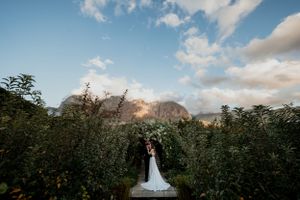 Wedding couple embraces in garden with majestic mountain backdrop.