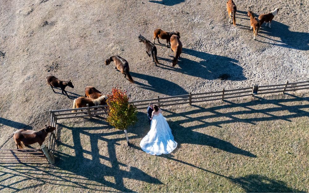 Aerial view of bride in white gown standing near horses in fenced pasture.