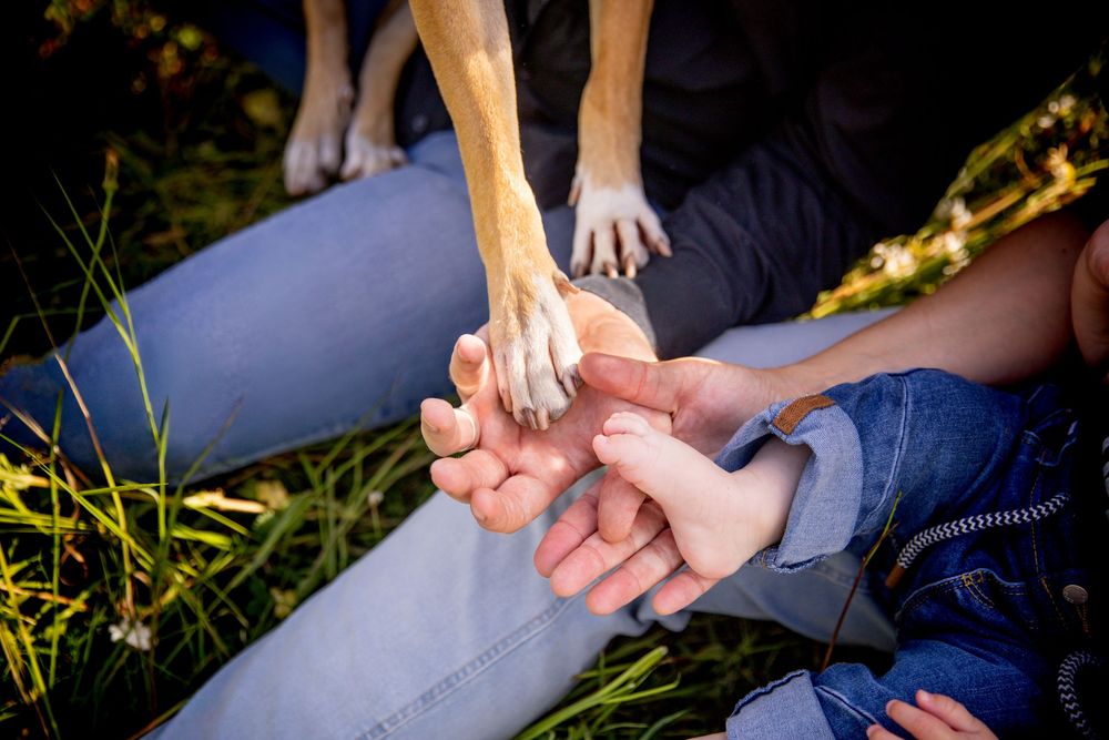Photographe animalière