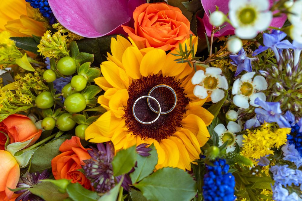 Wedding rings displayed on vibrant sunflower surrounded by colorful roses, daisies and greenery.