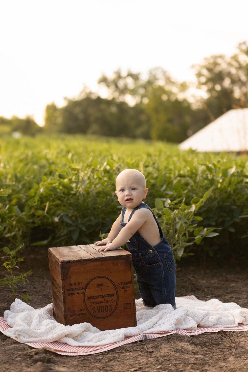 Baby in overalls plays near rustic wooden crate on picnic blanket during golden hour in garden setting.