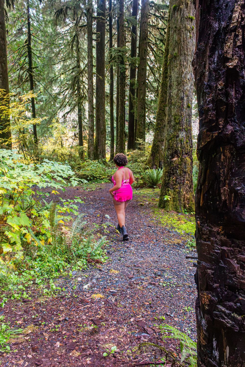 Runner on a gravel trail winding through a lush evergreen forest in the Pacific Northwest.