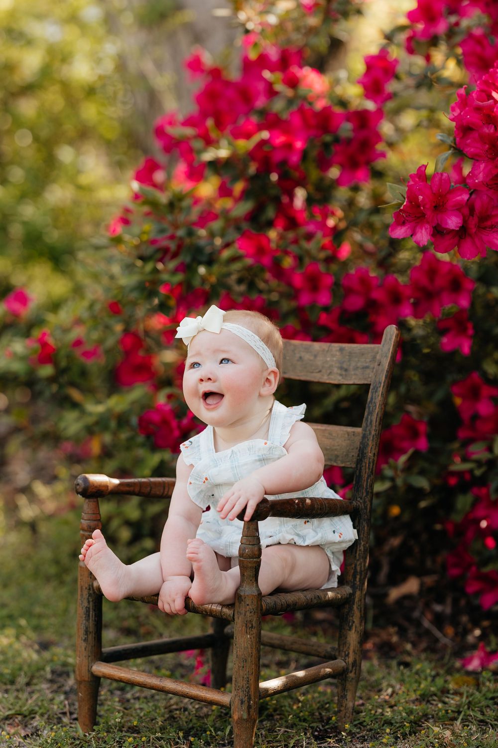 A joyful baby sits in a rustic wooden chair surrounded by vibrant red bougainvillea flowers in a garden setting.