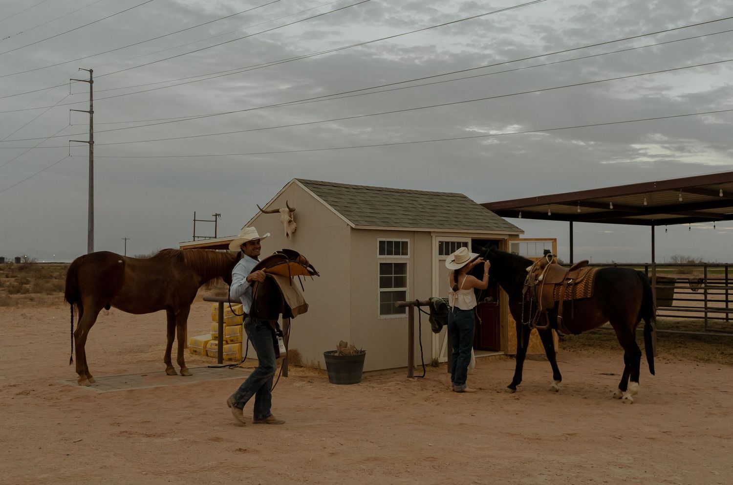 farm brand photoshoot cowboy and cowgirl photos