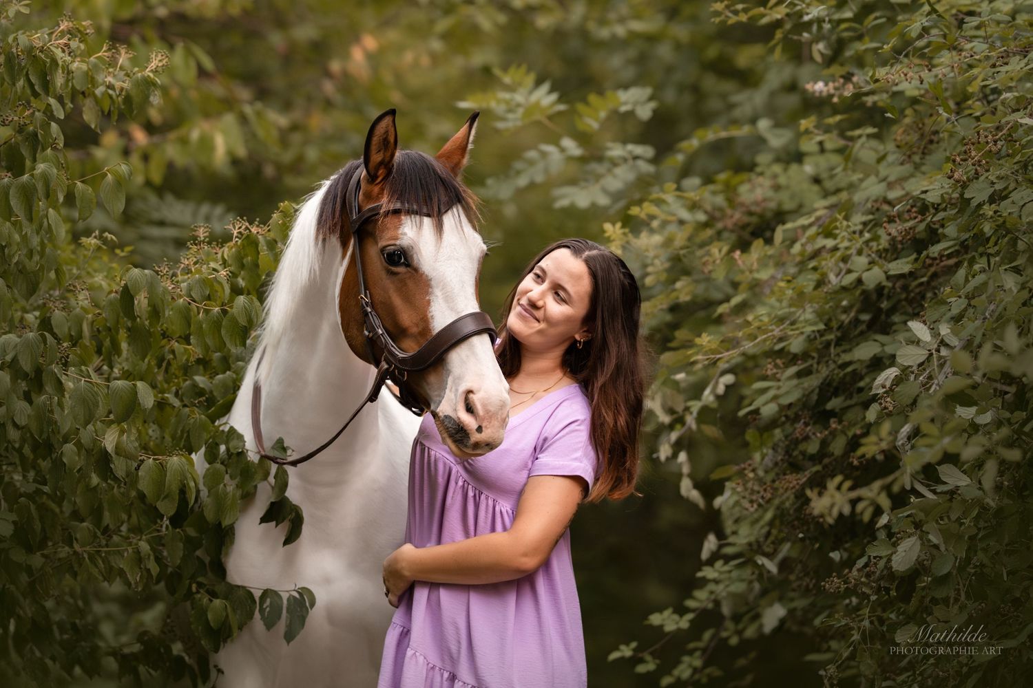 photographe cheval
séance photo chevaux
photographie animaux de compagnie
photo cheval extérieur
photographe Drôme Valence Isère