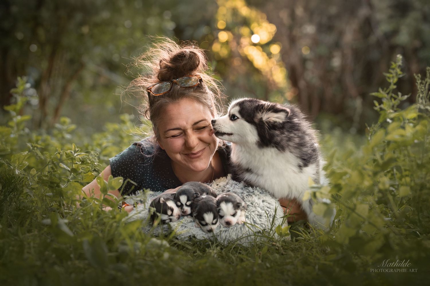 photographe chien
séance photo chien
photographie animaux de compagnie
portrait de chien
photo chien extérieur
photographe Drôme Valence