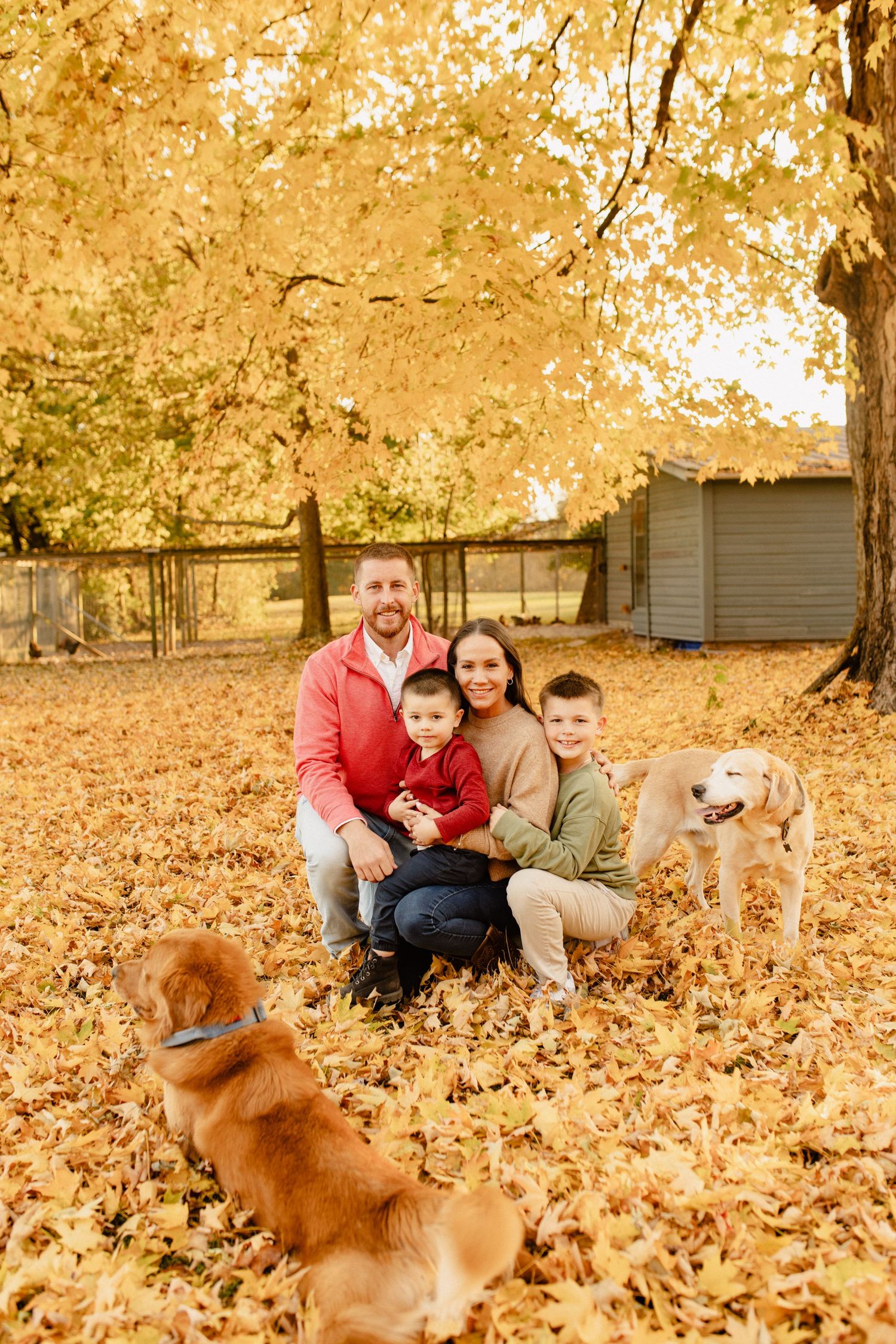 A family and their golden retriever enjoying autumn leaves in a park setting.