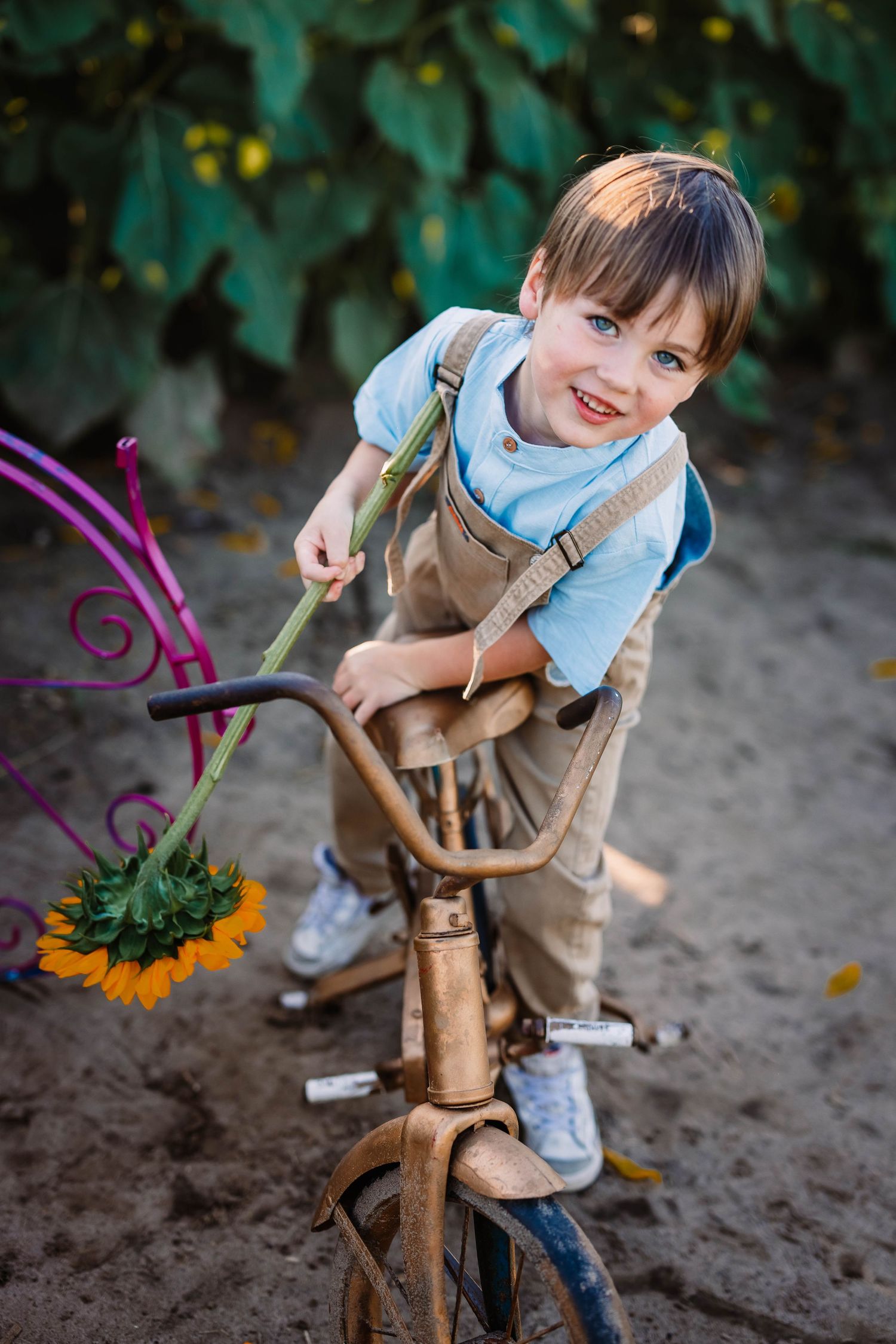 A young child in overalls and blue shirt smiling while riding an antique metal tricycle.