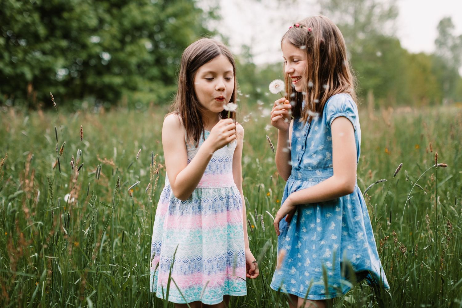 Two children in blue dresses blow on dandelions together in a meadow of tall grass.