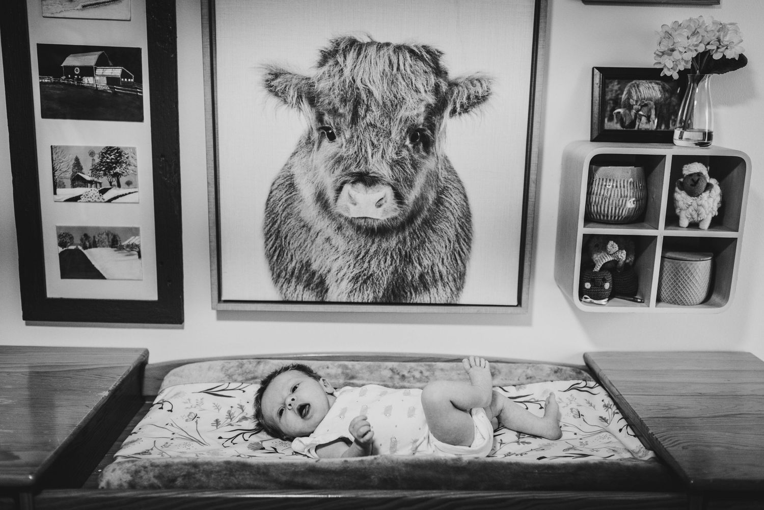 Black and white photograph showing a baby on a changing table under a large artwork of a highland cow on the wall above.
