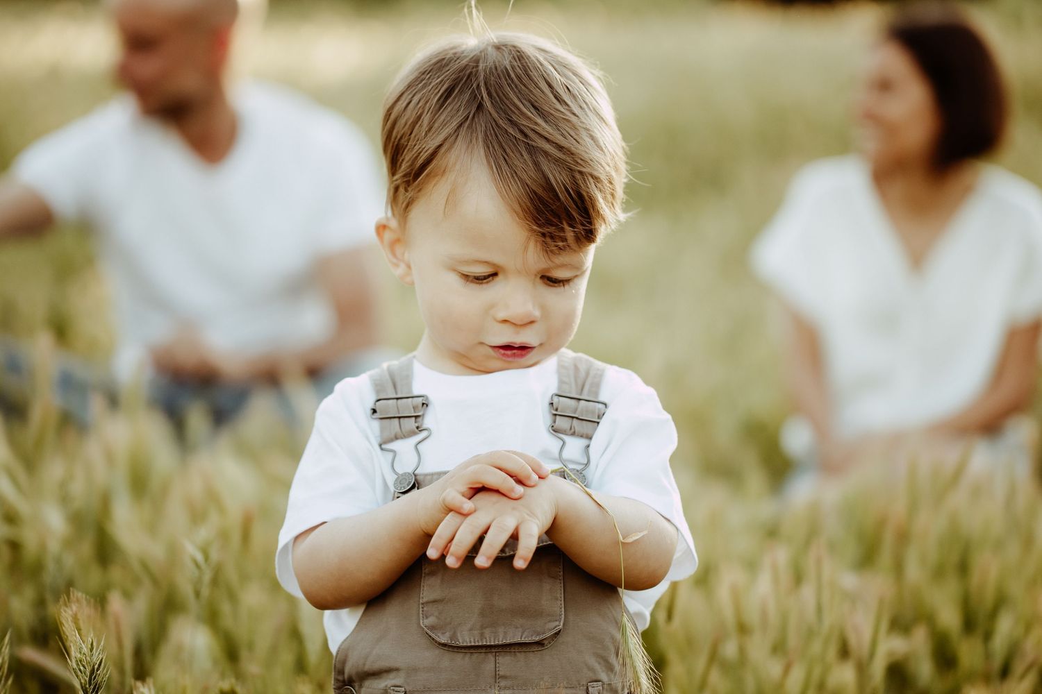 Family session in a golden wheat field during summer sunset.