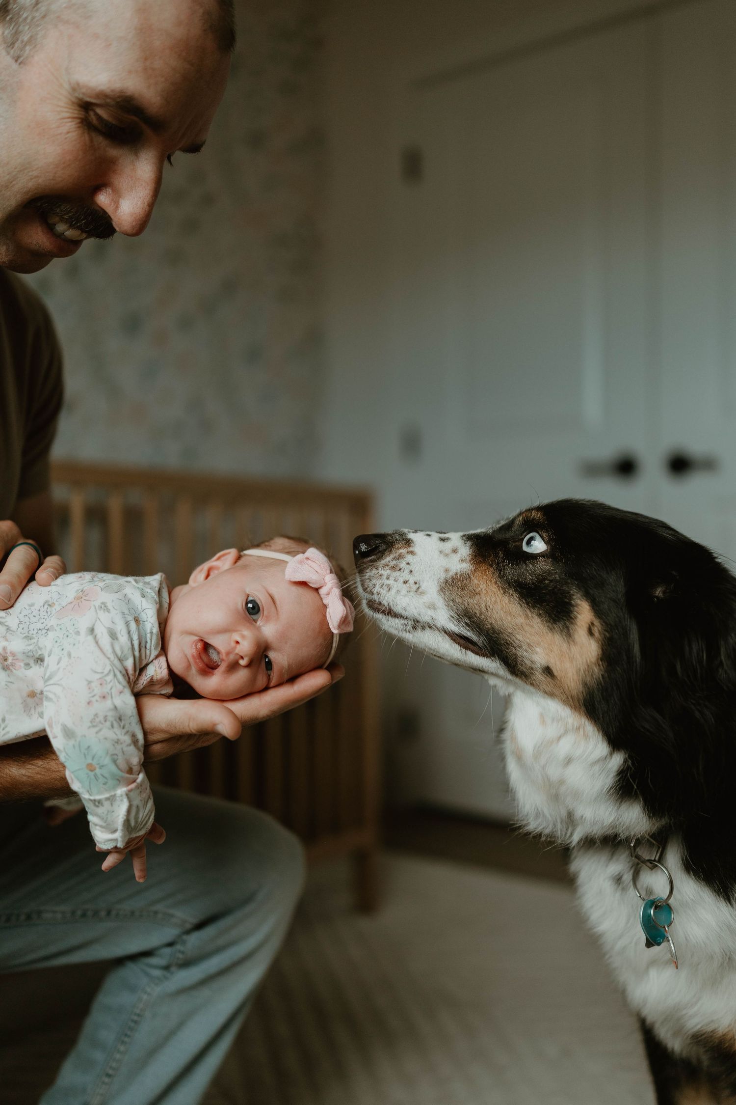 A smiling father holds his newborn baby in a pink headband as a black and white dog curiously sniffs the infant.