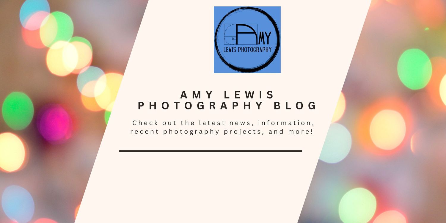 Clean minimalist photography blog logo design with blue camera shutter icon.